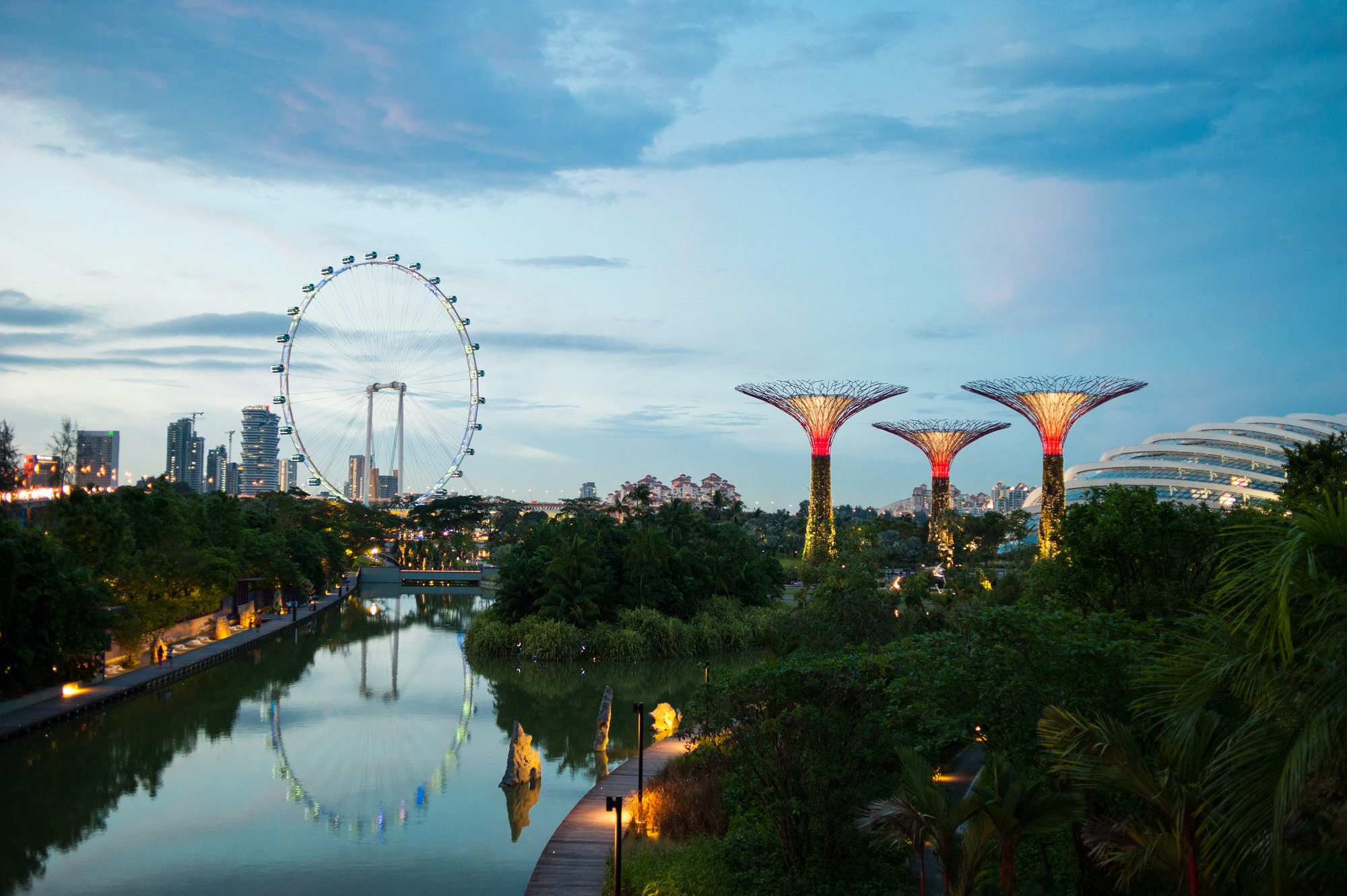 Singapore_trees